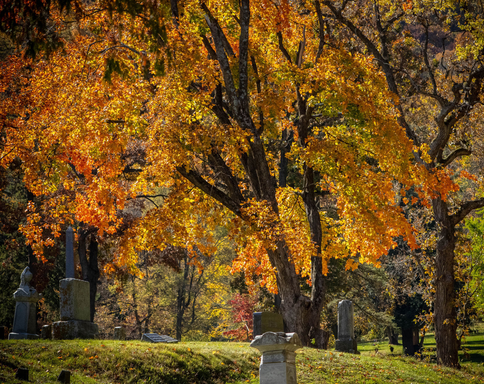 Autumn color in Woodlawn Cemetery, Winona